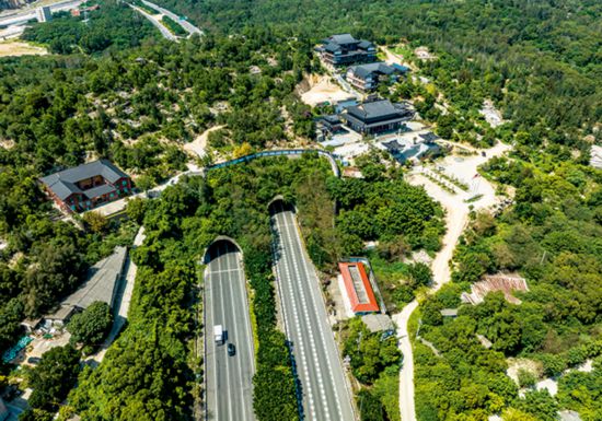 高速公路穿過(guò)玉溪村（劉翼）.jpg